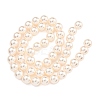 Glass Pearl Beads Strands HY-G002-01D-03-3