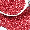 Baking Paint Luster Glass Seed Beads X1-SEED-B001-04A-04-1