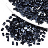 2-Hole Glass Seed Beads SEED-S031-M-SH129-1