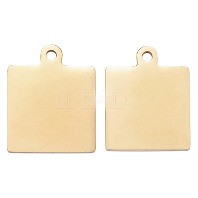304 Stainless Steel Pendants LS-STAS-I140-23B-G-1