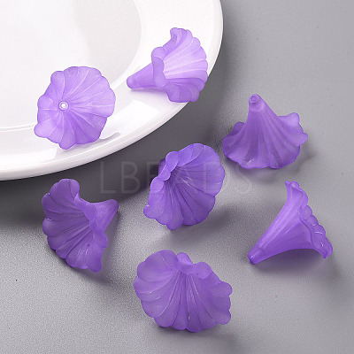 Transparent Acrylic Beads X-BSF796-C26-1