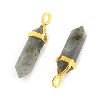 Natural Labradorite Pointed Pendants G-G902-A11-1