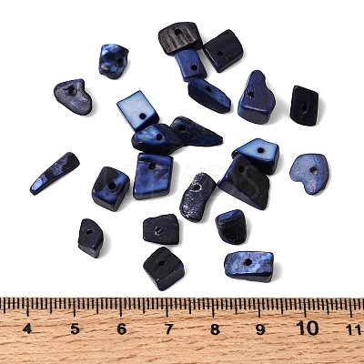 Dyed Natural Freshwater Shell Chips Beads X-SHEL-O001-12C-1