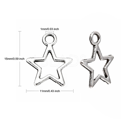 Tibetan Style Alloy Charms LF10651Y-NF-1