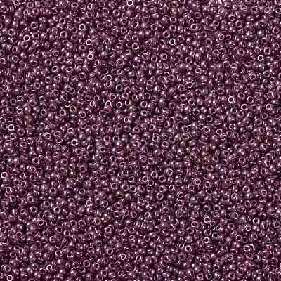 MIYUKI Round Rocailles Beads SEED-X0055-RR0313-1