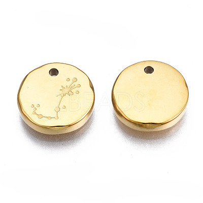 316 Surgical Stainless Steel Charms LS-STAS-S116-418J-G-1