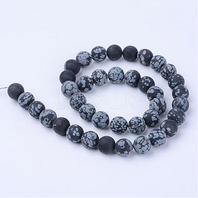Natural Snowflake Obsidian Beads Strands G-Q462-6mm-10-1