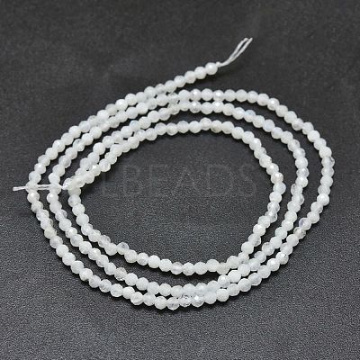 Natural Rainbow Moonstone Beads Strands X-G-O186-D02-1
