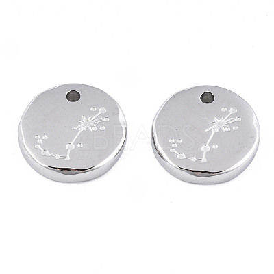 Non-Tarnish 316 Surgical Stainless Steel Charms STAS-S116-418J-P-1