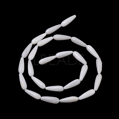 Natural Freshwater Shell Beads Strands SHEL-A004-03A-1