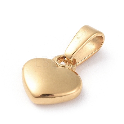 304 Stainless Steel charms STAS-I127-003G-1