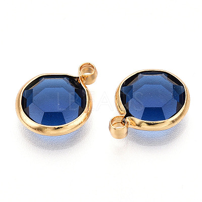 K9 Glass Charms X1-GLAA-T023-37A-07-1