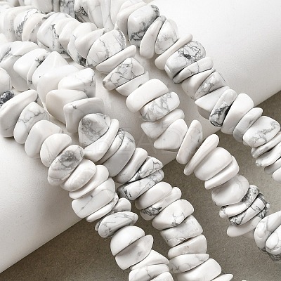 Natural Howlite Beads Strands G-A285-A12-01-1
