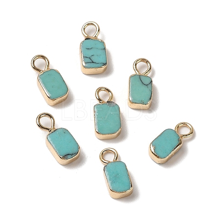 Synthetic Turquoise Rectangle Charms G-Q169-07G-12-1