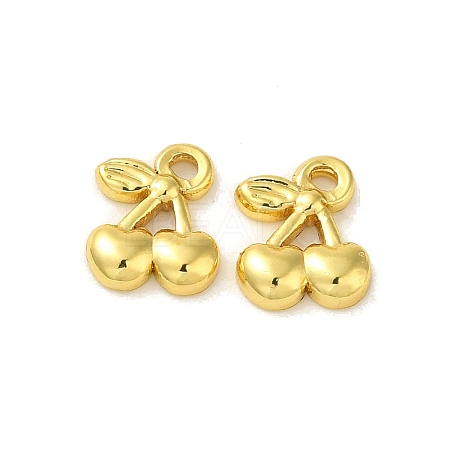 304 Stainless Steel Charms X-STAS-Q322-25G-1