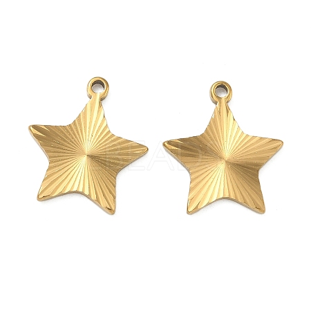 304 Stainless Steel Pendants STAS-C167-08G-G-1