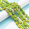 Natural Imperial Jasper Bead Strands G-C074-04C-4