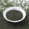 MIYUKI Round Rocailles Beads SEED-JP0008-RR0306-2