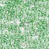 8/0 Glass Seed Beads SEED-A015-3mm-2207-2