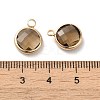 Golden Tone Brass Glass Flat Round Charms GLAA-M003-B-07G-3