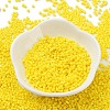 Baking Paint Glass Seed Beads SEED-S042-05B-81-2