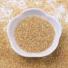 MIYUKI Delica Beads X-SEED-J020-DB0099-2