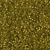 TOHO Round Seed Beads SEED-JPTR11-0996FM-2