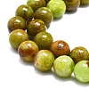Natural Green Opal Beads Strands G-K245-A17-A05-3