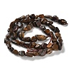 Natural Soil Opal Beads Strands G-P497-01C-13-3