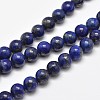 Natural Lapis Lazuli Round Bead Strands X-G-E262-01-10mm-1
