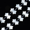 Natural White Shelll Beads Strands SSHEL-S278-123B-1