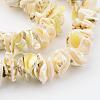 Natural Shell Bead Strands BSHE-P010-02-3