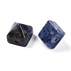 Natural Sodalite Beads G-N345-02A-03-3