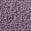 MIYUKI Round Rocailles Beads X-SEED-G007-RR0410F-3