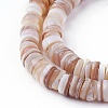 Shell Beads Strands SSHEL-E571-49D-1