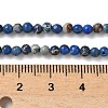 Dyed Natural Regalite/Imperial Jasper/Sea Sediment Jasper Beads Strands G-B124-C05-01-2