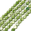Natural Freshwater Shell Dyed Beads Strands SHEL-K001-001G-2