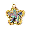 304 Stainless Steel Paua Shell Pendants STAS-OY002-24G-1