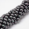 Shell Pearl Bead Strands X-BSHE-L025-05-8mm-1