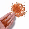 8/0 Glass Seed Beads X1-SEED-A005-3mm-29-4