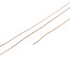 10M 304 Stainless Steel Wire TWIR-N005-0.3mm-RG-2