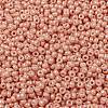 MIYUKI Round Rocailles Beads SEED-X0055-RR0596-2