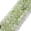 Natural White Jade Imitation Prehnite Beads Strands G-I299-F12-8mm-1