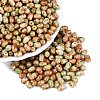 Picasso Glass Seed Beads SEED-N012-10D-1