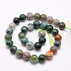 Natural Indian Agate Beads Strands G-G542-8mm-19-2