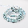 Natural Larimar Bead Strands G-M347-11-2