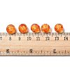 Autumn Theme Transparent Acrylic Beads X-TACR-S089-10mm-11-3
