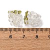 Handmade Lampwork Beads LAMP-A008-03-04-3