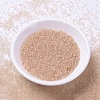 MIYUKI Delica Beads X-SEED-J020-DB1410-2