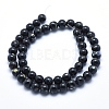 Sea Shell and Synthetic Turquoise Assembled Beads Strands G-G758-10-8mm-2